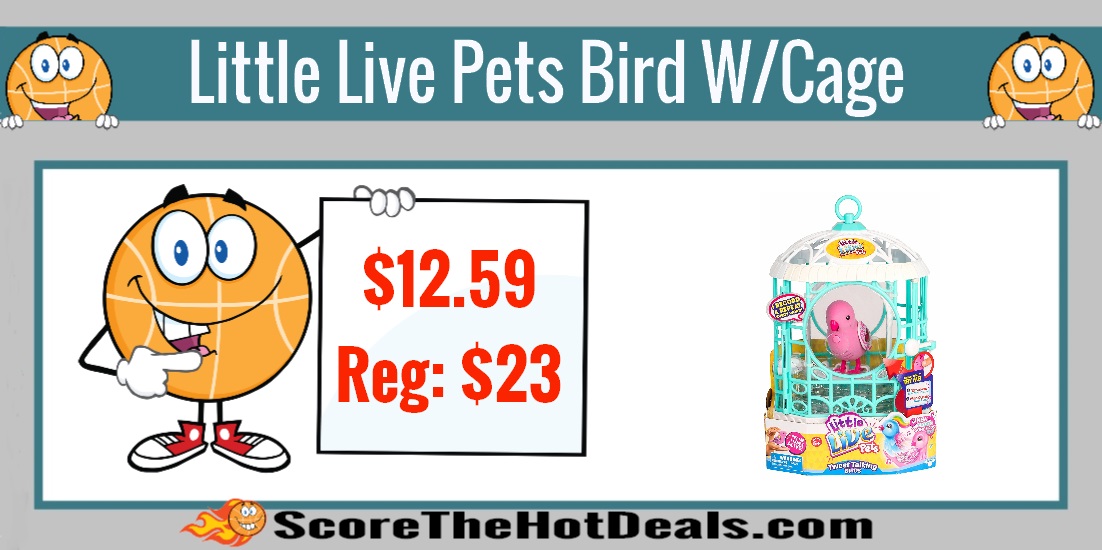 Little Live Pets Bird with Cage