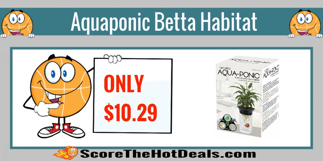 Aquaponic Betta Habitat 