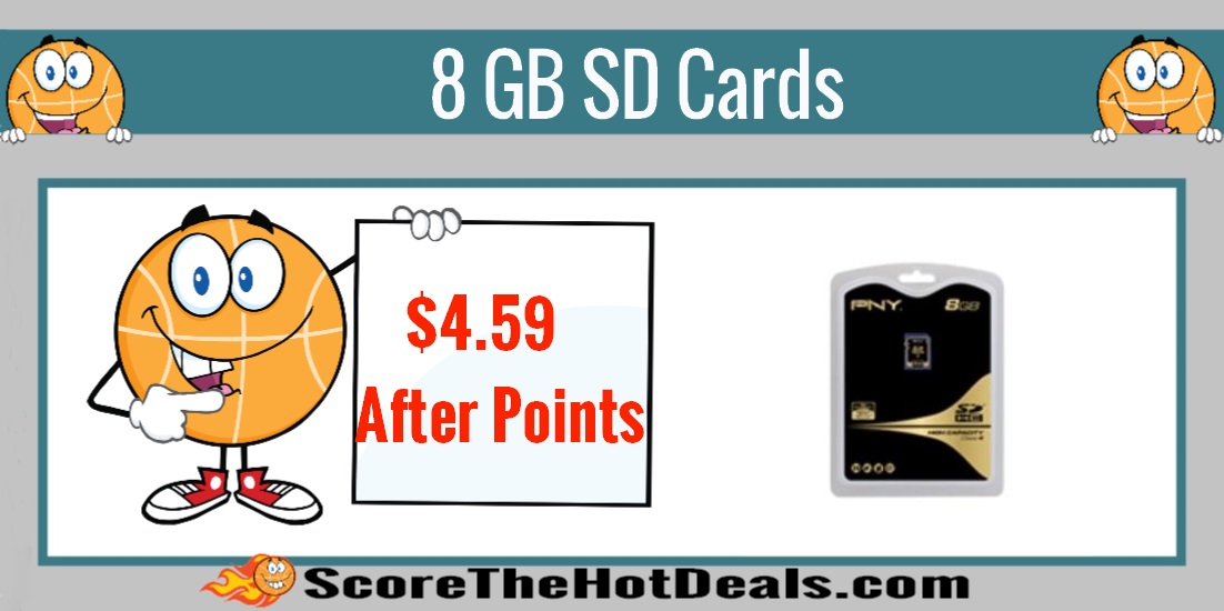 8 GB SD Cards