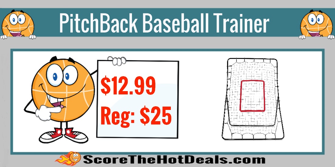 PitchBack Baseball Trainer