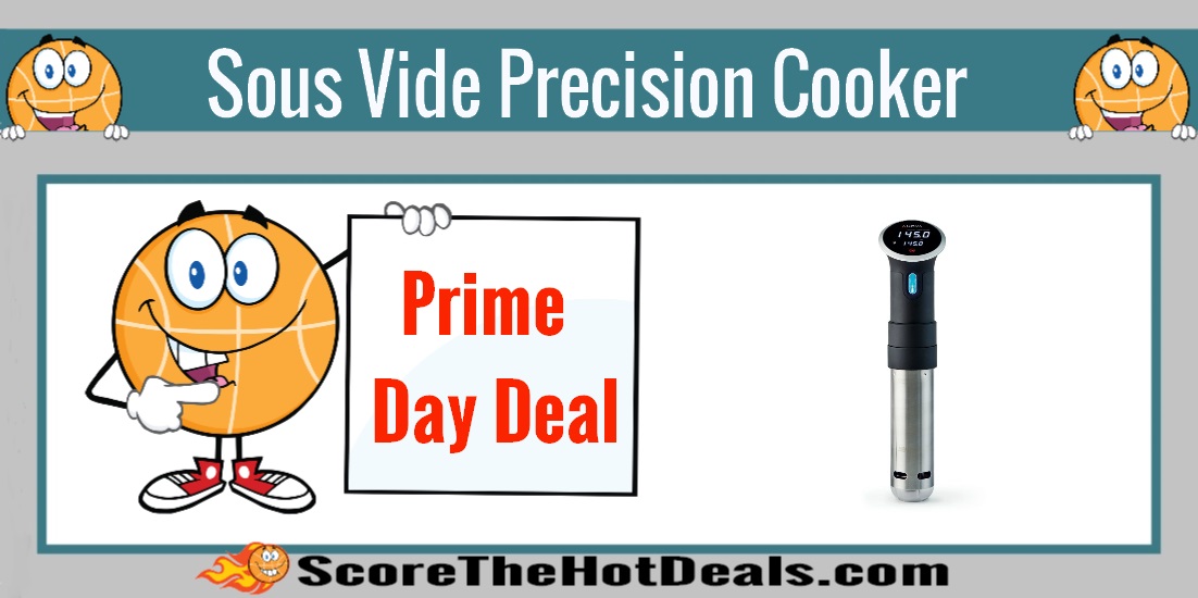 Bluetooth Sous Vide Precision Cooker
