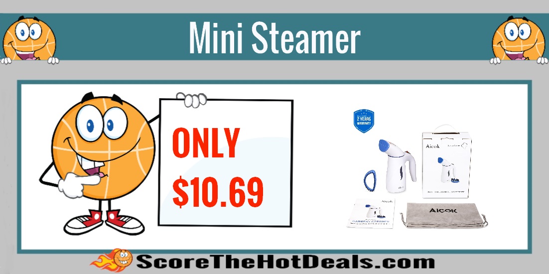 Mini Steamer