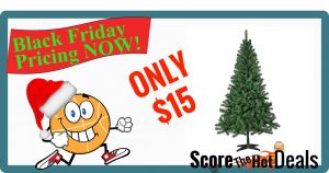 Trim A Home® 6' Peninsula Pine Unlit Christmas Tree - ONLY $15!