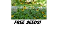 Score Your Seed Pack OF CHOICE!