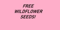SCORE Wildflower Seeds!